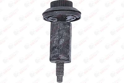 LIMITATOR ACOPERIRE MOTOR BIRTH 80969 11