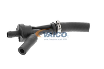 VENTIL LUFTSTEUERUNG-ANSAUGLUFT VAICO V203584 54