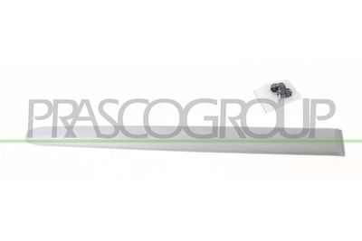 ZIER-/SCHUTZLEISTE TüR