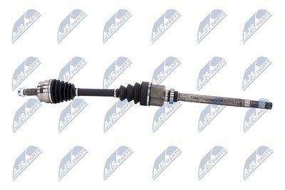 PLANETARA NTY NPWCT183 26