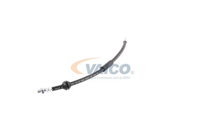 FURTUN FRANA VAICO V201908 28