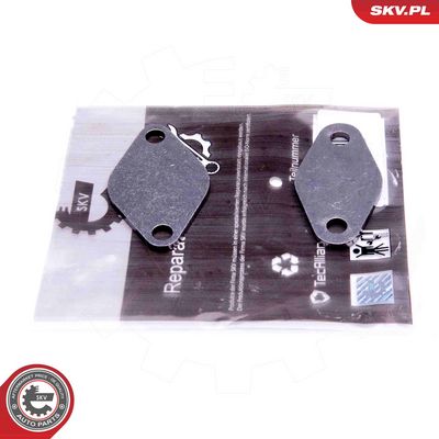 Sada na opravu, ventil AGR SKV 14SKV529