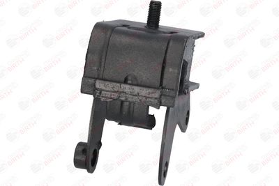 SUPORT MOTOR BIRTH 50438 11
