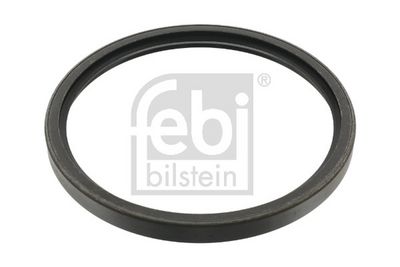 Wellendichtring, Radnabe