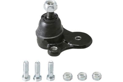 Kavo Parts Šarnyras / girgždukas
