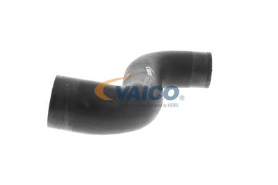 FURTUN EAR SUPRAALIMENTARE VAICO V104668 18