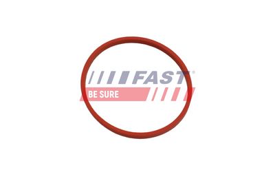 GARNITURA CONDUCTA SUPAPA-AGR FAST FT49868 1