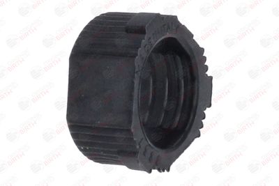 BUCSA ARBORE DE DIRECTIE BIRTH 4339 5