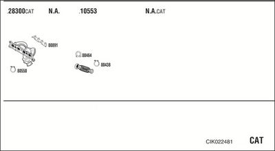 SISTEM DE ESAPAMENT WALKER CIK022481