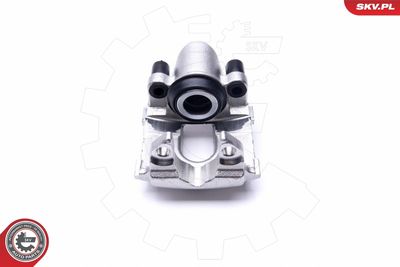 Brake Caliper 46SKV593