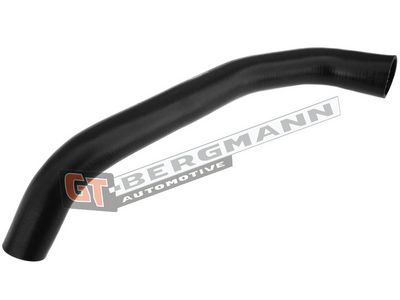 GT-BERGMANN Automotive Kompresoriaus padavimo žarna
