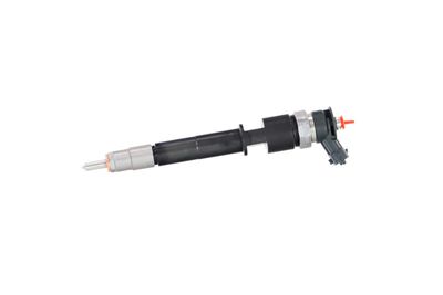 INJECTOR REMANTE 002003001319R 11