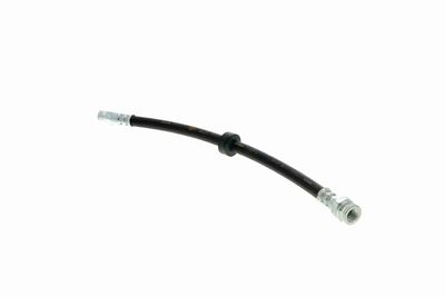 FURTUN FRANA VAICO V104191 2