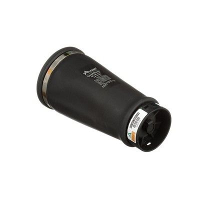 LUFTFEDER FAHRWERK Arnott A2202 31