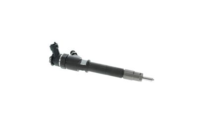 INJECTOR BOSCH 0445110250 17
