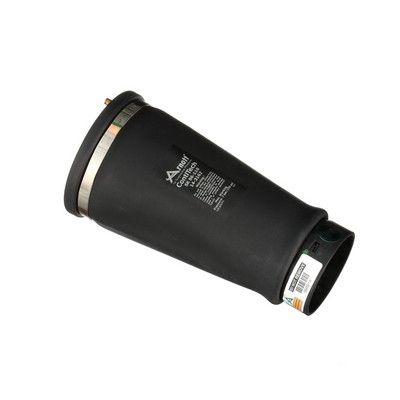 LUFTFEDER FAHRWERK Arnott A2202 54