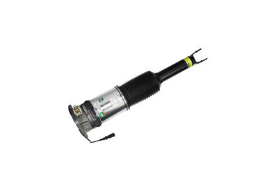 LUFTFEDERBEIN Arnott AS2958 62