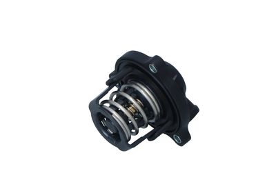 TERMOSTAT LICHID RACIRE NRF 725224 18