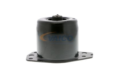 SUPORT MOTOR VAICO V240368 47