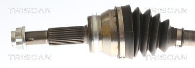 PLANETARA TRISCAN 854013578 1