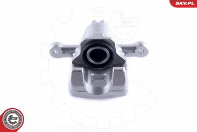 Brake Caliper 55SKV083