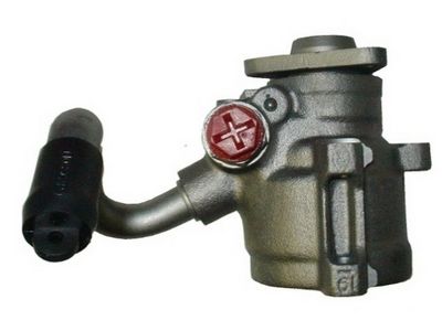 HYDRAULIKPUMPE LENKUNG SPIDAN 53606 2