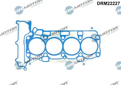 Uszczelka, głowica cylindrów DR.MOTOR AUTOMOTIVE DRM22227