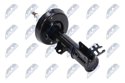 AMORTIZOR NTY APL060 13