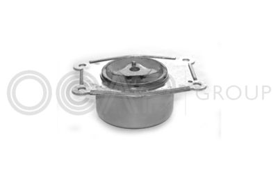 OCAP 1225382 Подушка двигателя  для OPEL ZAFIRA A вэн (T98) 2.0 OPC (F75)