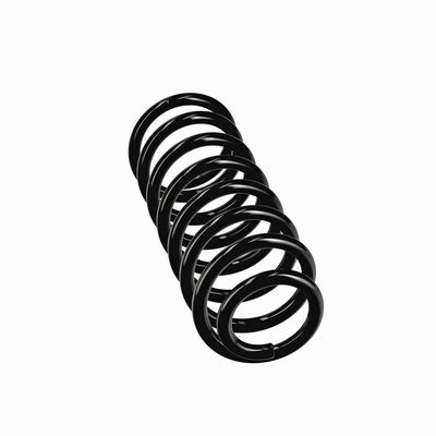 ARC SPIRAL EIBACH R11075 24