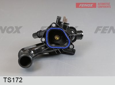 термостат, охладителна течност FENOX TS172