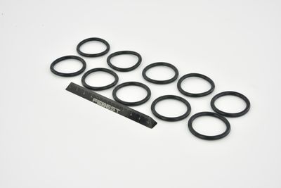 GARNITURA FLANSA LICHID RACIRE FEBEST RINGWH020PCS10 7