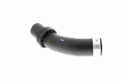 FURTUN EAR SUPRAALIMENTARE VAICO V201619 6