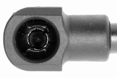 AMORTIZOR PORTBAGAJ VAICO V240300 2