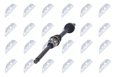 PLANETARA NTY NPWCT107 35