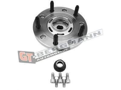GT-BERGMANN Automotive Rato guolio komplektas
