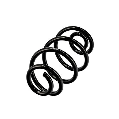 ARC SPIRAL EIBACH R10374 3