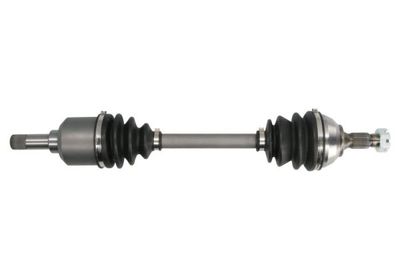 полуоска PASCAL G2P024PC