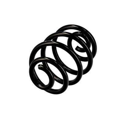 ARC SPIRAL EIBACH R10173 3