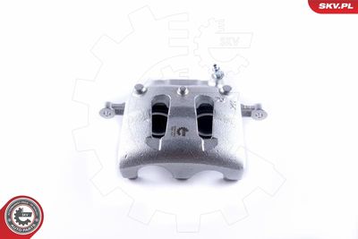 Brake Caliper 50SKV892