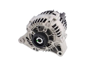 GENERATOR / ALTERNATOR REMANTE 011003000075R 61