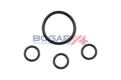 REZERVOR APA RADIATOR BOGAP B4210218 4
