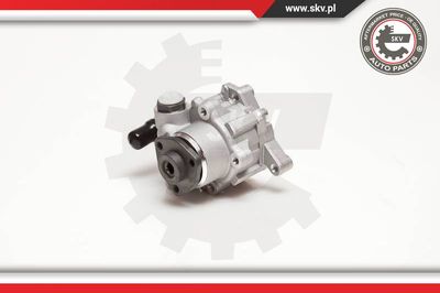 ESEN SKV 10SKV124 Рулевая рейка  для MERCEDES-BENZ M-CLASS (Мерседес М-класс)