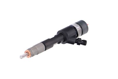INJECTOR REMANTE 002003001043R 63