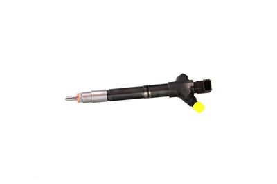 INJECTOR REMANTE 002003002094R 10