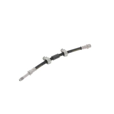 FURTUN FRANA CORTECO 19035314 70