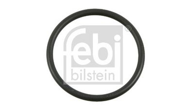 FEBI BILSTEIN Dichtring, Achsschenkel