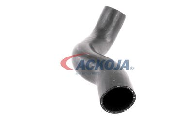 FURTUN EAR SUPRAALIMENTARE ACKOJA A380307 47