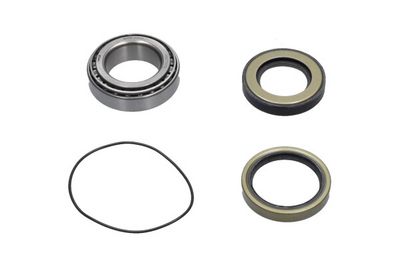 Kavo Parts Rato guolio komplektas