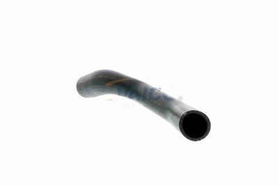 LADELUFTSCHLAUCH VAICO V250948 2